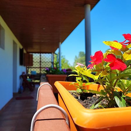 Apartman Dunav Aljmas Екстер'єр фото