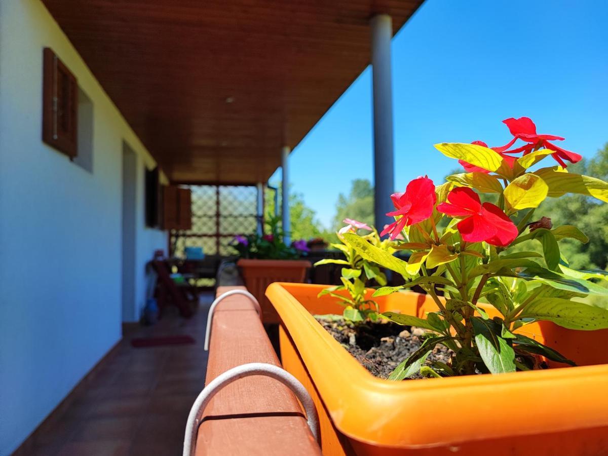 Apartman Dunav Aljmas Екстер'єр фото